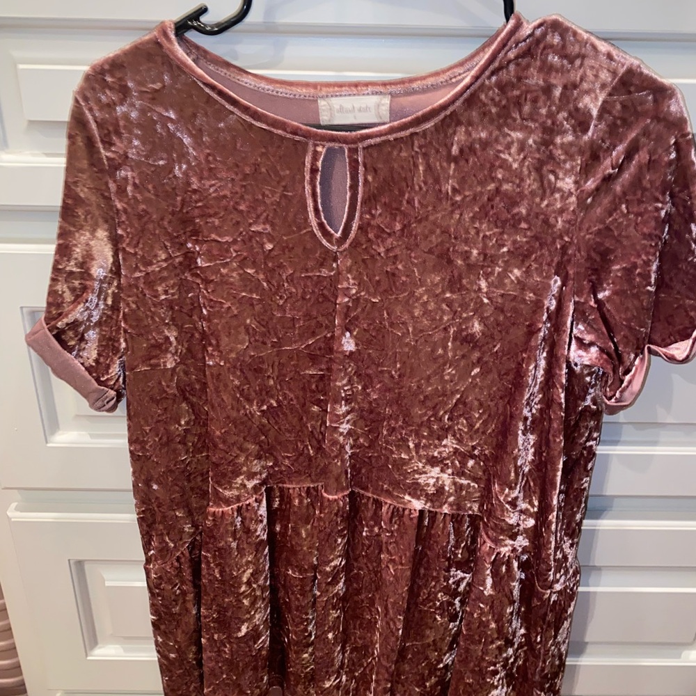 Altar'd State Pink Velvet Blouse